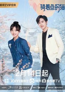 Perfect Mismatch (2023)