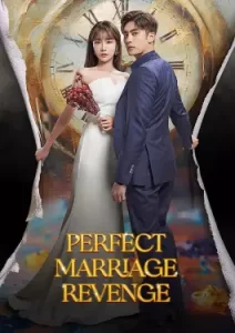 Perfect Marriage Revenge (2023)