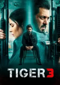 Tiger 3 (2024)