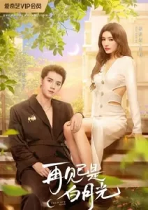 Fall in Love Again (2024)
